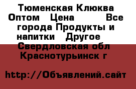 Тюменская Клюква Оптом › Цена ­ 200 - Все города Продукты и напитки » Другое   . Свердловская обл.,Краснотурьинск г.